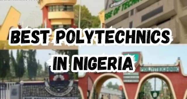 Choosing the Best Polytechnic in Nigeria for You (2024 Guide)