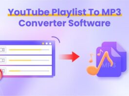 How HitPaw Video Converter Makes You Master of Your Media