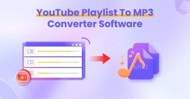 How HitPaw Video Converter Makes You Master of Your Media