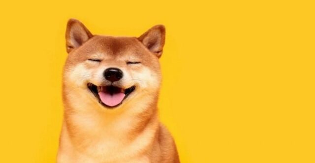 Kabosu: The Shiba Inu Queen of Memes and Dogecoins Passes Away at 18