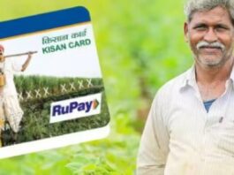 Kisan Credit Card Guide: Secure Financing for a Bountiful Harvest