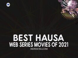 The Rise of Arewa Web Series: Top 10 Hits from Kannywood in 2021