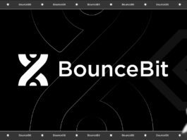 BounceBit's CeDeFi Infrastructure: A Guide to Earning Maximum Yield with Security