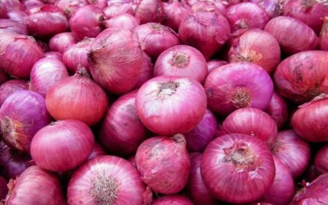 Pakistan Capitalizes on India's Onion Export Ban: A Boon for Farmers and Exporters