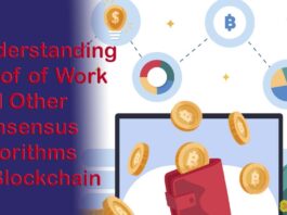 Understanding Proof of Work and Other Consensus Algorithms in Blockchain